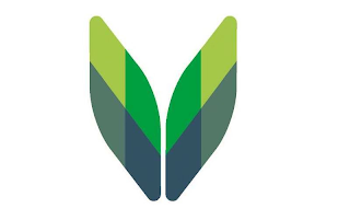 V logo