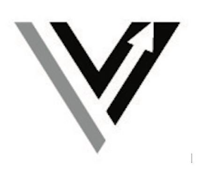 V logo