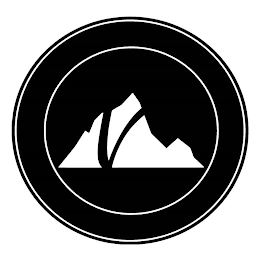 V logo