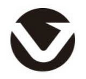 V logo