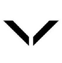 V logo