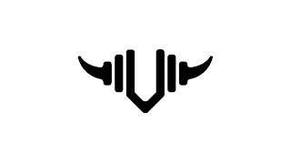 V logo