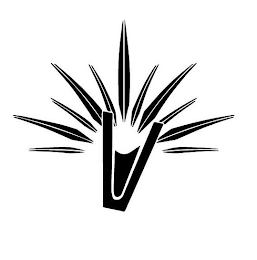 V logo