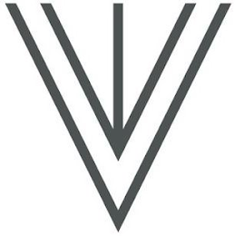 V logo