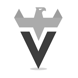 V logo