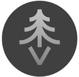 V logo