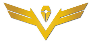 V logo