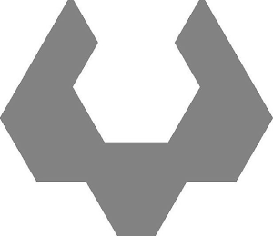 V logo