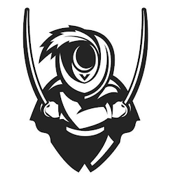 V logo