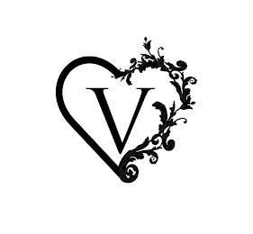 V logo