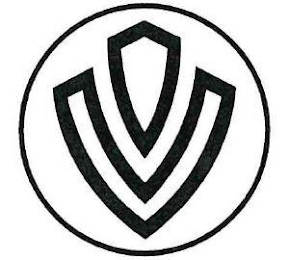 "V" logo