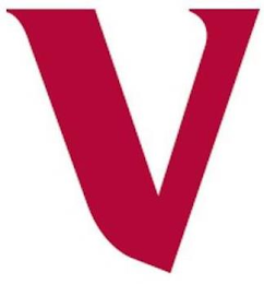 V logo