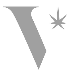 V logo