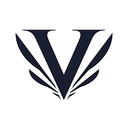V logo