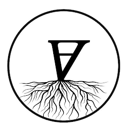 V logo
