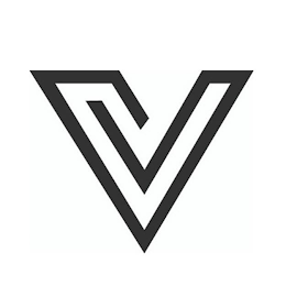 V logo