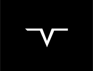 V logo