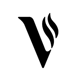 V logo