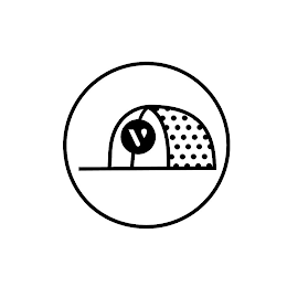 V logo