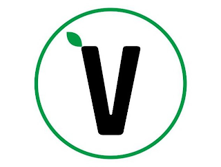 V logo