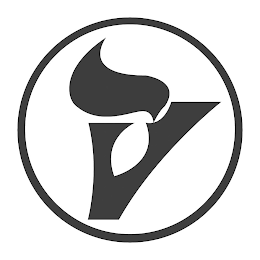 V logo