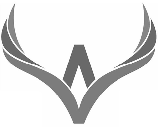 V logo
