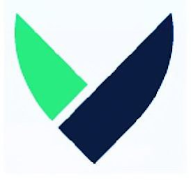 V logo
