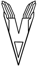 V logo