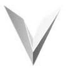 V logo