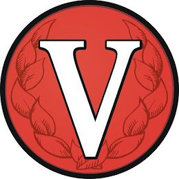 V logo