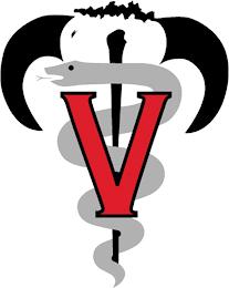 V logo