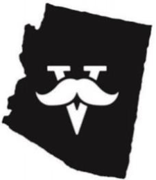 V logo