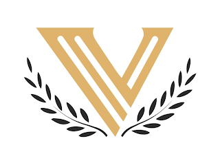 V logo