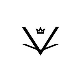 V logo