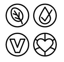 V logo