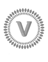 V logo