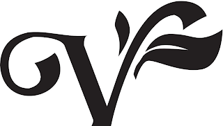 V logo