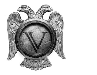 V logo