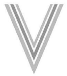 V logo