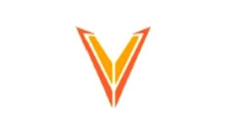 V logo