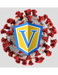V logo