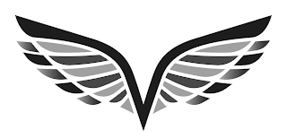 V logo