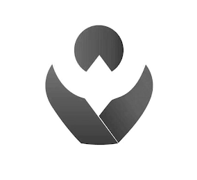 V logo