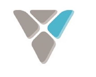 V logo