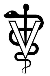 V logo