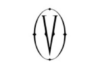 V logo