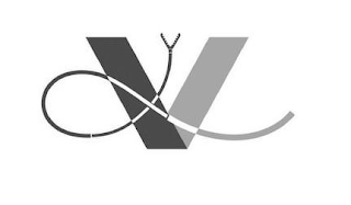 V logo