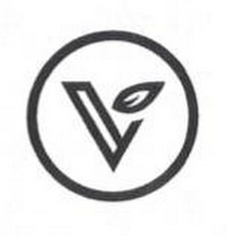 V logo