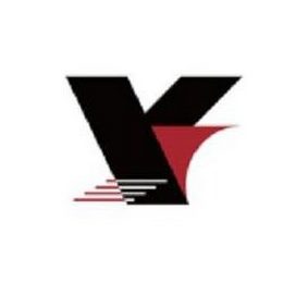V logo