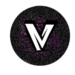 V logo